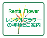 レンタルフラワーの種類とご案内